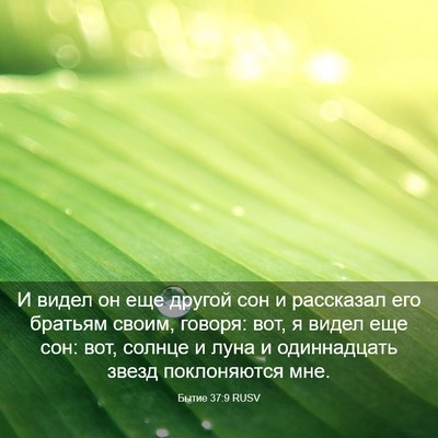 Picture 03 - Бытие 37:9 RUSV - И видел он еще другой сон и - Bible Verse Picture