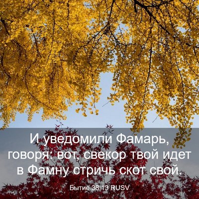 Picture 03 - Бытие 38:13 RUSV - И уведомили Фамарь, говоря: - Bible Verse Picture