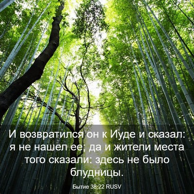 Picture 03 - Бытие 38:22 RUSV - И возвратился он к Иуде и - Bible Verse Picture