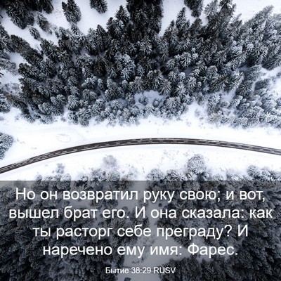 Picture 03 - Бытие 38:29 RUSV - Но он возвратил руку свою; - Bible Verse Picture