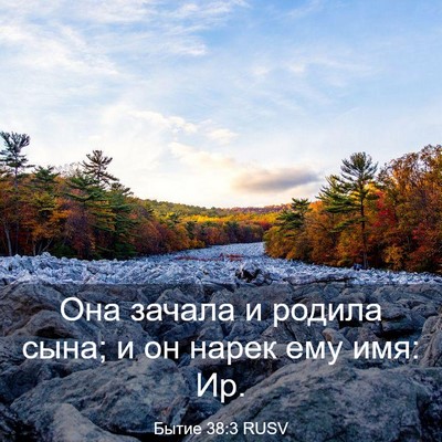 Picture 03 - Бытие 38:3 RUSV - Она зачала и родила сына; и - Bible Verse Picture