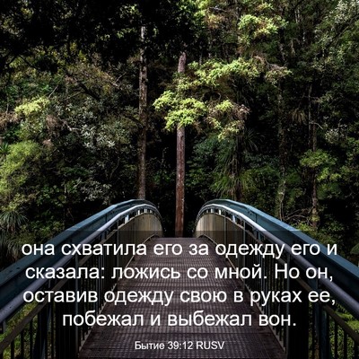 Picture 03 - Бытие 39:12 RUSV - она схватила его за одежду - Bible Verse Picture
