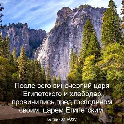 Picture 03 - Бытие 40:1 RUSV - После сего виночерпий царя - Bible Verse Picture
