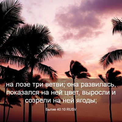 Picture 03 - Бытие 40:10 RUSV - на лозе три ветви; она - Bible Verse Picture