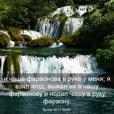 Picture 03 - Бытие 40:11 RUSV - и чаша фараонова в руке у - Bible Verse Picture