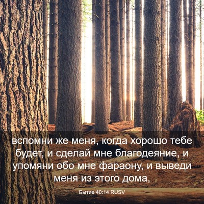 Picture 03 - Бытие 40:14 RUSV - вспомни же меня, когда - Bible Verse Picture