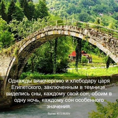 Picture 03 - Бытие 40:5 RUSV - Однажды виночерпию и - Bible Verse Picture