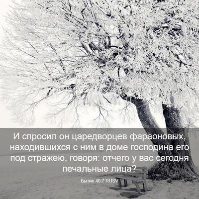 Picture 03 - Бытие 40:7 RUSV - И спросил он царедворцев - Bible Verse Picture