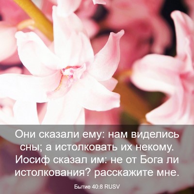 Picture 03 - Бытие 40:8 RUSV - Они сказали ему: нам - Bible Verse Picture