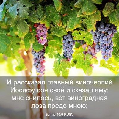 Picture 03 - Бытие 40:9 RUSV - И рассказал главный - Bible Verse Picture