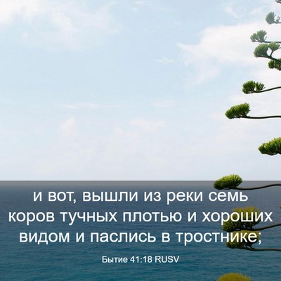 Picture 03 - Бытие 41:18 RUSV - и вот, вышли из реки семь - Bible Verse Picture