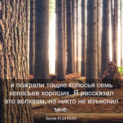 Picture 03 - Бытие 41:24 RUSV - и пожрали тощие колосья - Bible Verse Picture