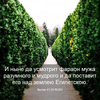 Picture 03 - Бытие 41:33 RUSV - И ныне да усмотрит фараон - Bible Verse Picture
