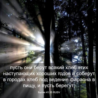 Picture 03 - Бытие 41:35 RUSV - пусть они берут всякий - Bible Verse Picture
