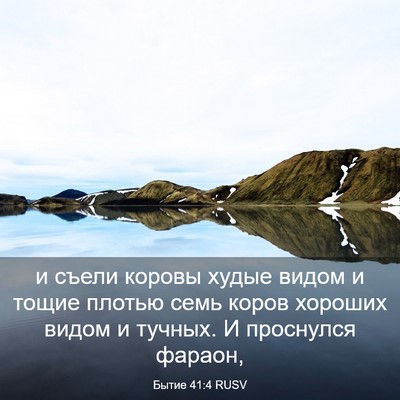 Picture 03 - Бытие 41:4 RUSV - и съели коровы худые видом - Bible Verse Picture