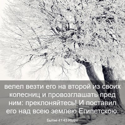 Picture 03 - Бытие 41:43 RUSV - велел везти его на второй - Bible Verse Picture