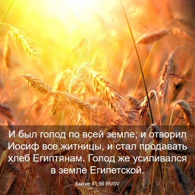 Picture 03 - Бытие 41:56 RUSV - И был голод по всей земле; и - Bible Verse Picture