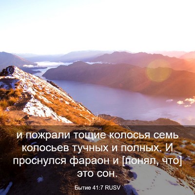 Picture 03 - Бытие 41:7 RUSV - и пожрали тощие колосья - Bible Verse Picture
