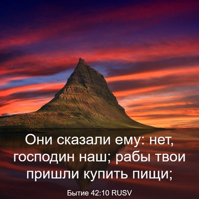 Picture 03 - Бытие 42:10 RUSV - Они сказали ему: нет, - Bible Verse Picture