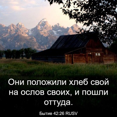 Picture 03 - Бытие 42:26 RUSV - Они положили хлеб свой на - Bible Verse Picture