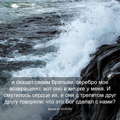 Picture 03 - Бытие 42:28 RUSV - и сказал своим братьям: - Bible Verse Picture