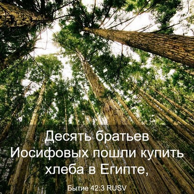 Picture 03 - Бытие 42:3 RUSV - Десять братьев Иосифовых - Bible Verse Picture