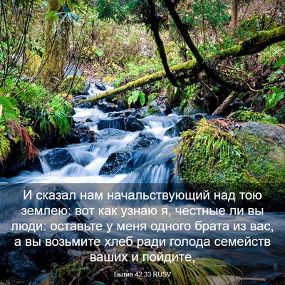 Picture 03 - Бытие 42:33 RUSV - И сказал нам - Bible Verse Picture