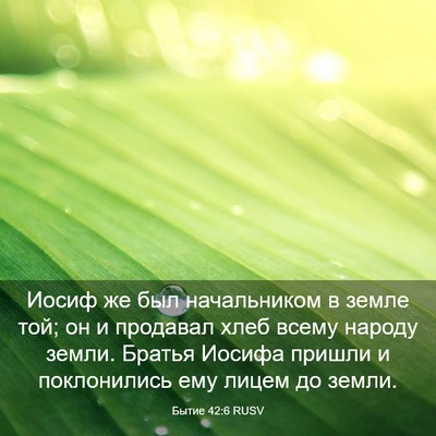 Picture 03 - Бытие 42:6 RUSV - Иосиф же был начальником в - Bible Verse Picture