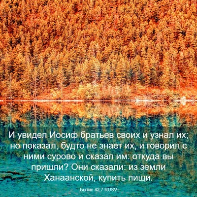 Picture 03 - Бытие 42:7 RUSV - И увидел Иосиф братьев - Bible Verse Picture