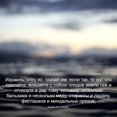 Picture 03 - Бытие 43:11 RUSV - Израиль, отец их, сказал им: - Bible Verse Picture