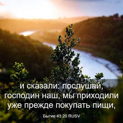 Picture 03 - Бытие 43:20 RUSV - и сказали: послушай, - Bible Verse Picture