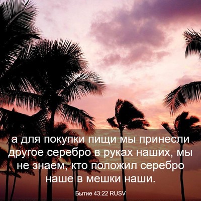 Picture 03 - Бытие 43:22 RUSV - а для покупки пищи мы - Bible Verse Picture