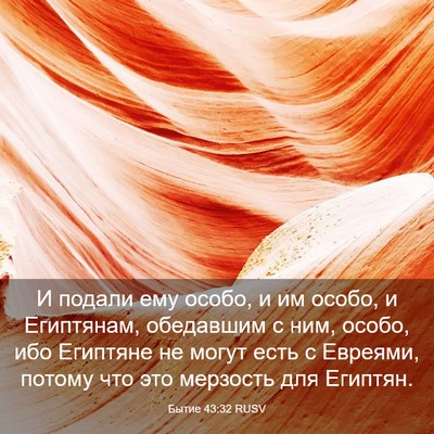 Picture 03 - Бытие 43:32 RUSV - И подали ему особо, и им - Bible Verse Picture
