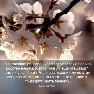 Picture 03 - Бытие 43:7 RUSV - Они сказали: расспрашивал - Bible Verse Picture