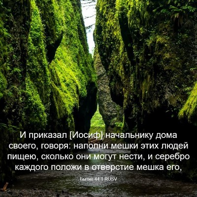 Picture 03 - Бытие 44:1 RUSV - И приказал [Иосиф] - Bible Verse Picture