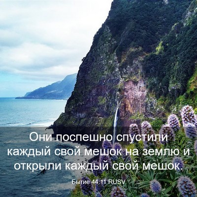Picture 03 - Бытие 44:11 RUSV - Они поспешно спустили - Bible Verse Picture