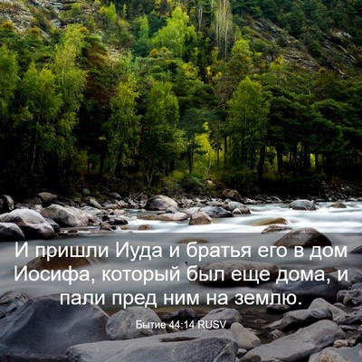 Picture 03 - Бытие 44:14 RUSV - И пришли Иуда и братья его - Bible Verse Picture