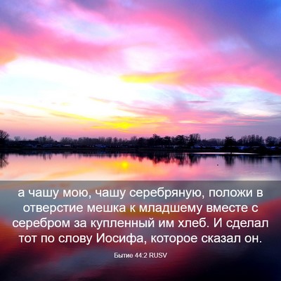 Picture 03 - Бытие 44:2 RUSV - а чашу мою, чашу - Bible Verse Picture