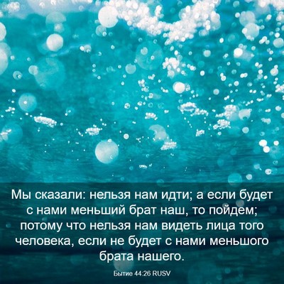 Picture 03 - Бытие 44:26 RUSV - Мы сказали: нельзя нам - Bible Verse Picture