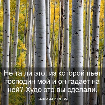 Picture 03 - Бытие 44:5 RUSV - Не та ли это, из которой - Bible Verse Picture