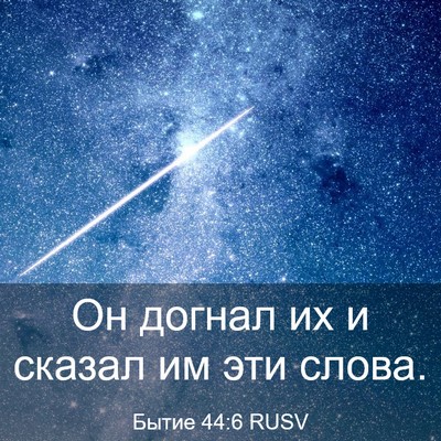 Picture 03 - Бытие 44:6 RUSV - Он догнал их и сказал им - Bible Verse Picture
