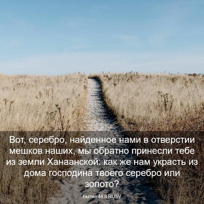 Picture 03 - Бытие 44:8 RUSV - Вот, серебро, найденное - Bible Verse Picture