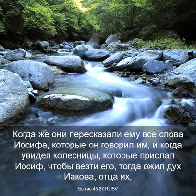 Picture 03 - Бытие 45:27 RUSV - Когда же они пересказали - Bible Verse Picture
