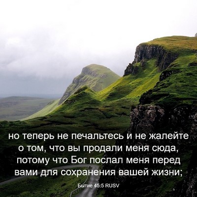 Picture 03 - Бытие 45:5 RUSV - но теперь не печальтесь и - Bible Verse Picture