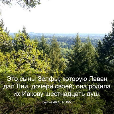 Picture 03 - Бытие 46:18 RUSV - Это сыны Зелфы, которую - Bible Verse Picture