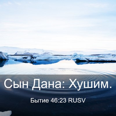 Picture 03 - Бытие 46:23 RUSV - Сын Дана: - Bible Verse Picture