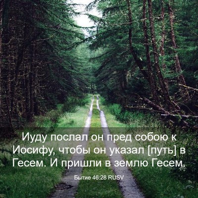 Picture 03 - Бытие 46:28 RUSV - Иуду послал он пред собою к - Bible Verse Picture