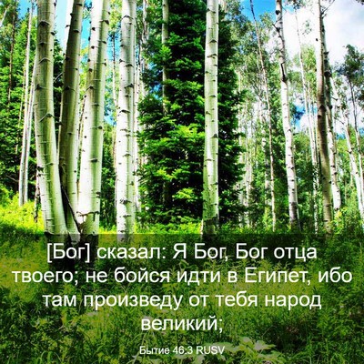 Picture 03 - Бытие 46:3 RUSV - [Бог] сказал: Я Бог, Бог отца - Bible Verse Picture