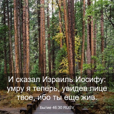 Picture 03 - Бытие 46:30 RUSV - И сказал Израиль Иосифу: - Bible Verse Picture