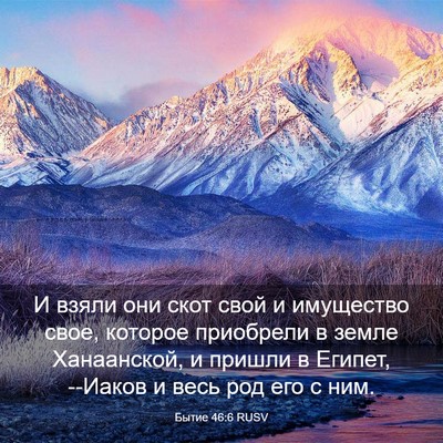 Picture 03 - Бытие 46:6 RUSV - И взяли они скот свой и - Bible Verse Picture